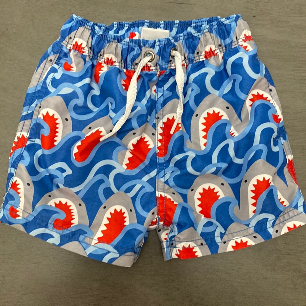 Hanna Andersson boys trunks